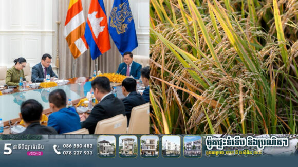 IMG_1314 សម្តេច ហ៊ុន ម៉ាណែត លើកទឹកចិត្តអ្នករកស៊ីផ្នែកស្រូវអង្ករបន្តនាំចេញផ្ទាល់ឱ្យទូលំទូលាយទៅកាន់ទីផ្សារអន្តរជាតិ