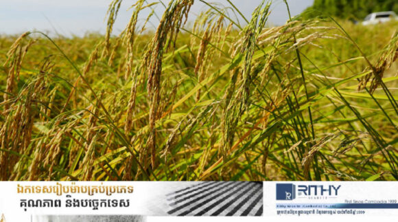 រាជរដ្ឋាភិបាលទម្លាក់ថវិកាបន្ថែម ៣០លានដុល្លារ ដែលសរុបជាង ២០០លានដុល្លារជួយរក្សាលំនឹងថ្លៃស្រូវ