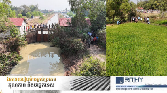 ស្រូវស្រែកសិករ ៤ពាន់ហិកតានៅស្រុកបាទីមានក្តីសង្ឃឹមរស់ឡើងវិញ ក្រោយបិទផ្លូវអស់មួយព្រឹក