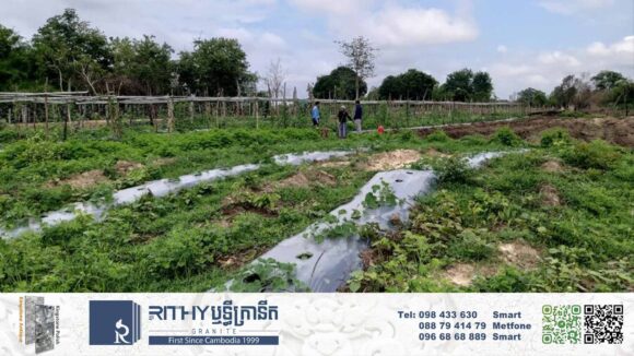 រដ្ឋាភិបាល ផ្តល់ដីដល់ពលរដ្ឋក្រីក្រីគ្មានដីពិតប្រាកដ ៥០០គ្រួសារក្នុងមួយគ្រួសារ ៣ហិកតានៅខេត្តស្ទឹងត្រែង