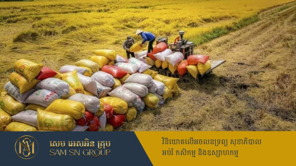 កន្លះខែដំបូងនៃដើមឆ្នាំ២០២៥ វៀតណាមនាំចេញអង្ករបានទឹកប្រាក់ជាង ១៦៥លានដុល្លារ
