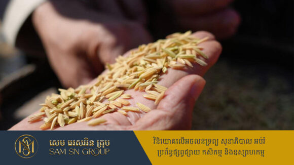 អត្ថប្រយោជន៍នៃការប្រើប្រាស់ «ពូជស្រូវយុទ្ធសាស្ត្ររបស់កម្ពុជា» ល្អទាំងកសិករ និងជួយដល់សេដ្ឋកិច្ចជាតិ