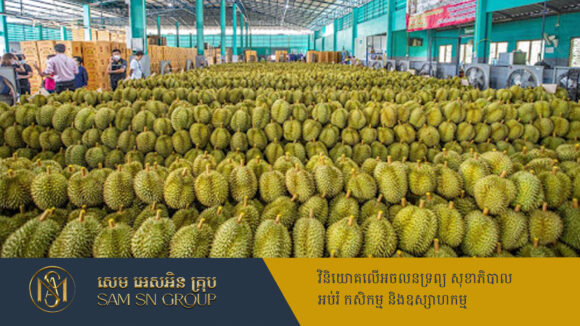 ថៃគ្រវាត់ចោលទុរេនជិត ៦៥តោន ក្រោយចិនបដិសេធមិននាំចូលទុរេនជ្រលក់ថ្នាំ