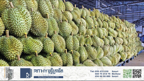 IMG_5582 រដ្ឋាភិបាលកម្ពុជាឲ្យយកចិត្តទុកដាក់លើការនាំចូលទុរេន និងដាំដុះក្នុងប្រទេស ស្របពេលចិនហាមនាំចូលពីវៀតណាម និងថៃ