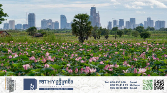 ពន្ធដារ បន្តលើកលែងពន្ធអចលនទ្រព្យនៅសង្កាត់-ក្រុងបង្កើតថ្មី និងបន្ធូរបន្ថយលក្ខខណ្ឌពន្ធលើដីធ្លីកំពុងធ្វើកសិកម្ម