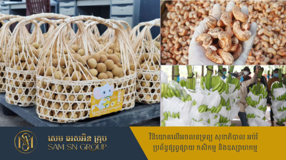 chinese ៣ នីតិវិធី ជំរុញការនាំចេញផលិតផលកសិកម្មកម្ពុជា ចូលទៅទីផ្សារចិន