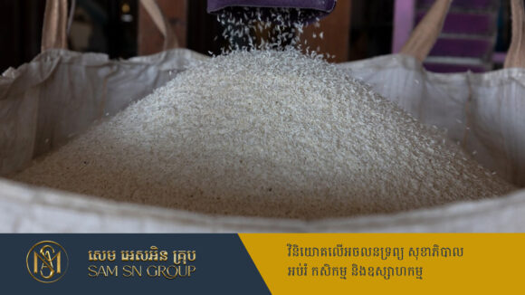 តម្លៃនាំចេញអង្ករបាក់៥% របស់វៀតណាម ធ្លាក់ដល់ចំណុចទាបបំផុតក្នុងរយៈពេល ៩ឆ្នាំ
