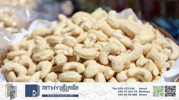 អ្នកវិនិយោគចិន ស្វែងរកអ្នកផ្គត់ផ្គង់ស្វាយចន្ទីដែលមានស្រាប់ដើម្បីធ្វើការនាំចេញ