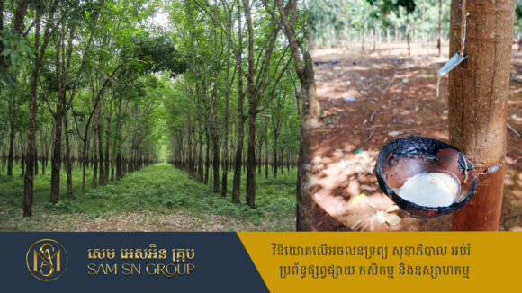 កាលឆ្នាំ ២០២៤ វៀតណាមបាននាំចូលកៅស៊ូធម្ម​ជាតិ​ពីកម្ពុជា ជិត ១ លាន​តោន​