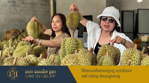ទុរេនថៃរំពឹងធ្លាក់ថ្លៃខ្លាំង ចំពេលកំពុងមានតម្រូវការទីផ្សារខ្ពស់