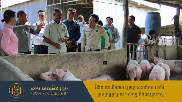 អ្នកនាំពាក្យក្រសួងកសិកម្មបញ្ជាក់តម្លៃជ្រូករស់រង្វង់ ១ម៉ឺនរៀល/១គីឡូ គឺជាថ្លៃសមរម្យ