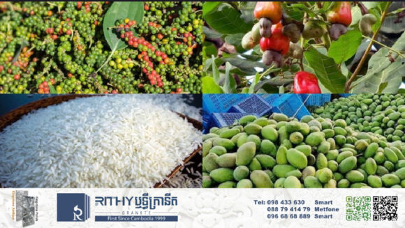 ក្រុមហ៊ុនលំដាប់កំពូល Smart Eden នឹងពង្រីកការនាំផលិតផលកម្ពុជា ១៥មុខទៅកាន់ទីផ្សារបារាំង