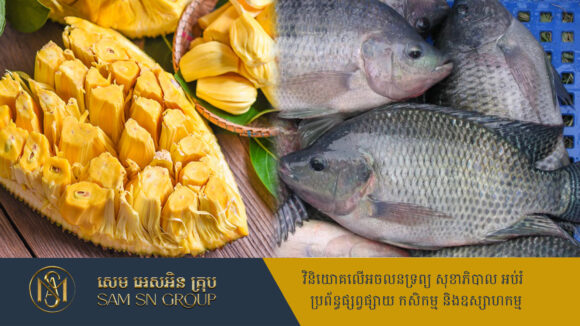 ជប៉ុនចាប់អារម្មណ៍វិនិយោគកែច្នៃខ្នុរ ទៅជាទឹកស៊ីរ៉ូ និងការធ្វើវារីវប្បកម្មត្រីទីឡាព្យា