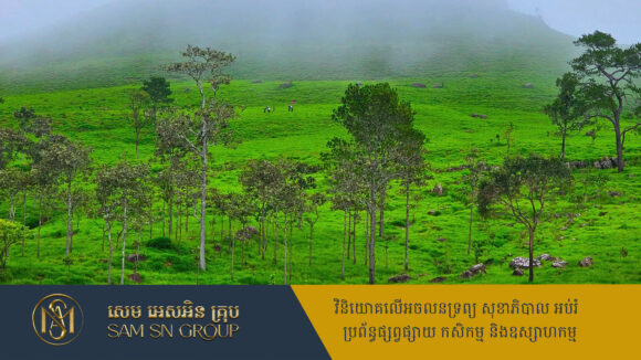 ផ្លូវ ចំណតរថយន្ត បន្ទប់ទឹក អាហារដ្ឋា កន្លែងបោះតង់ ជាហេដ្ឋារចនាសម្ព័ន្ធចាំបាច់ ត្រូវអភិវឌ្ឍន៍តំបន់ខ្នងផ្សារ