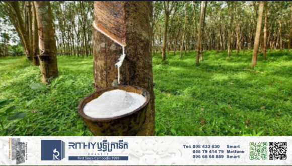 កៅស៊ូគុណភាពខ្ពស់ អនាម័យល្អរបស់ក្រុមហ៊ុន ឬទ្ធី ក្រានីត ដោយសារផ្តោតសំខាន់លើការដាក់ជីតាមបទដ្ឋានបច្ចេកទេសត្រឹមត្រូវ