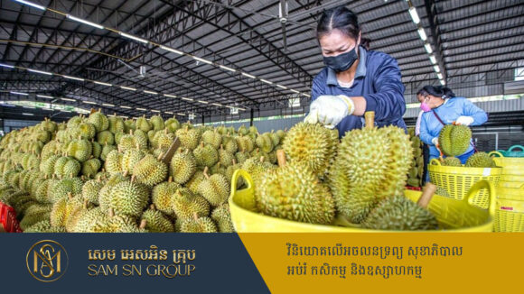 PR_Milliontimes ការនាំចេញបន្លែផ្លែឈើវៀតណាម ទៅកាន់ទីផ្សារស្រុកចិនដាំក្បាលចុះរហូតដល់ ៣៣%