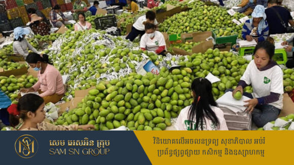 កម្ពុជានឹងនាំចេញស្វាយទៅចិន តាមរយៈរថភ្លើងល្បឿន​លឿនឆ្លងកាត់ប្រទេសឡាវ