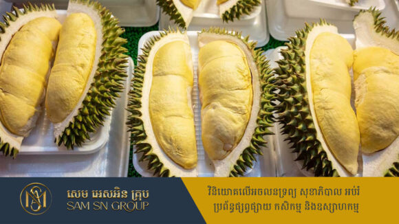 សហគមន៍កសិកម្មទុរេនបែកអន្លូងស្ទឹងត្រង់ បញ្ជាក់មិនទាន់ពេលដល់ប្រមូលផលប្រយ័ត្នទិញចំរបស់អ្នកជិតខាង