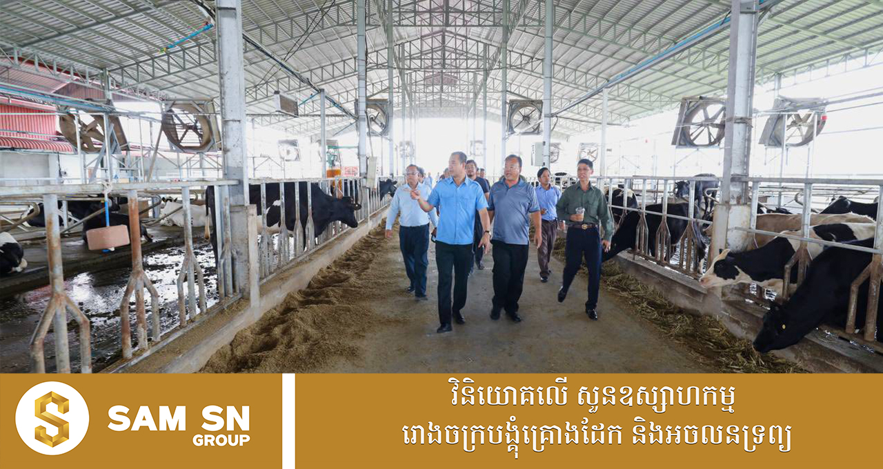 អគ្គនាយកធនាគារ ARDB ជំរុញឱ្យកសិដ្ឋានចិញ្ចឹមគោយកទឹកដោះបែបធម្មជាតិ ពង្រឹងការផលិត ឆ្លើយតបនិងការផ្គត់ផ្គង់លើទីផ្សារ