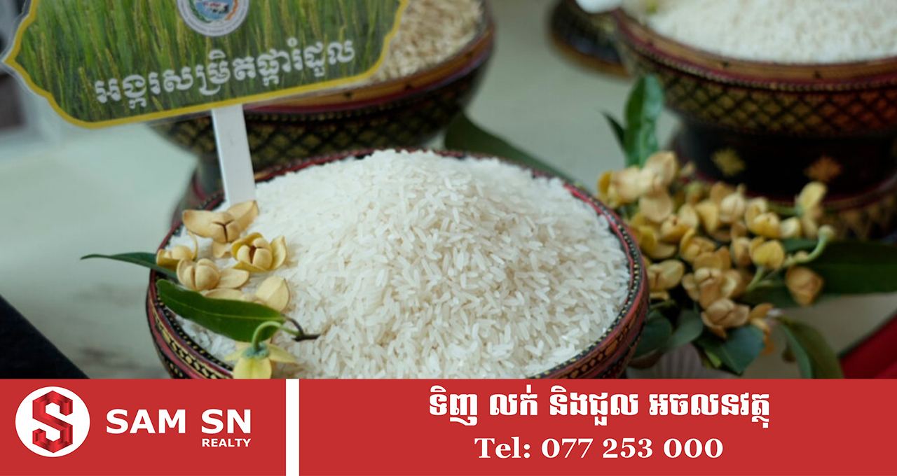 អង្ករផ្ការំដួលកម្ពុជា បានចូលក្នុងទីផ្សារអាមេរិកបោះដុំដ៏ធំ Costco