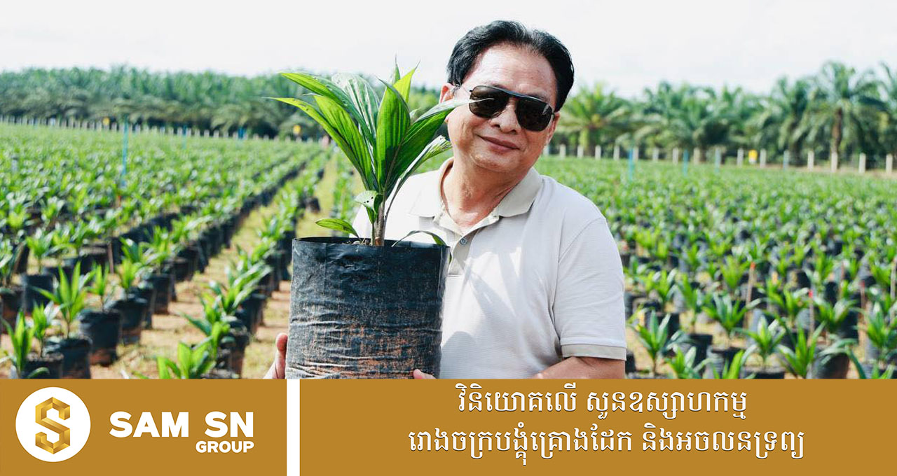 ក្រុមហ៊ុន ម៉ុង ឫទ្ធី គ្រោង​ដាំកូនដូងប្រេង១០ម៉ឺនដើម ជំនួសដើម​ដូងប្រេង​ចាស់​ហួស​អាយុ