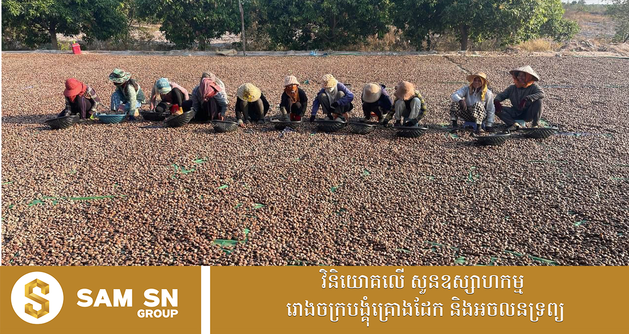 CashewNuT តម្លៃគ្រាប់ស្វាយចន្ទីឆៅនៅកម្ពុជា កើនឡើងមិនប្រក្រតី
