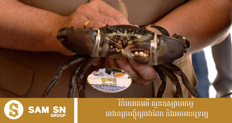 អបអរ! ក្តាមថ្មខេត្តកោះកុង បានចុះបញ្ជីផលិតផលសម្គាល់ភូមិសាស្រ្ត