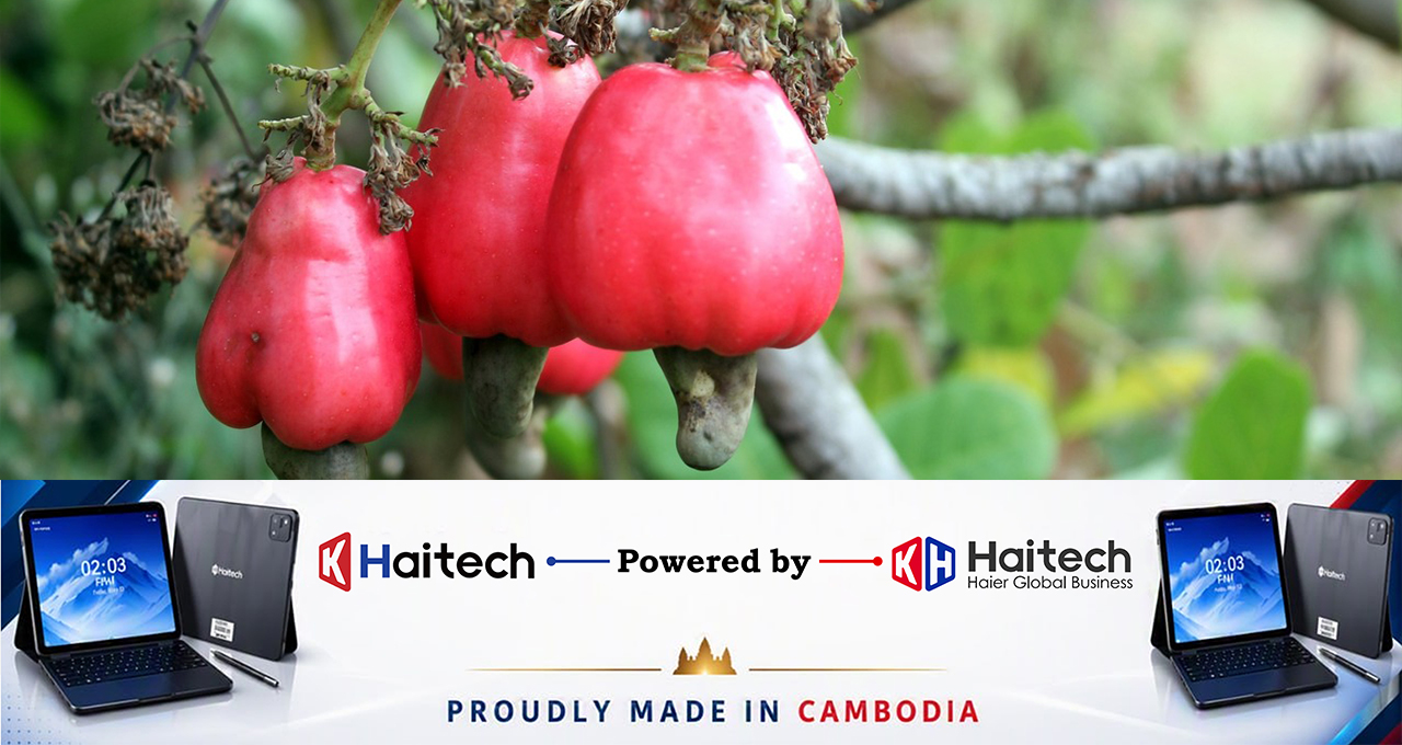 Cashewsnut1223232 ការលើកលែងពន្ធគយរបស់សហរដ្ឋអាម៉េរិកផ្តល់ឱកាសសម្រាប់ឧស្សាហកម្មស្វាយចន្ទីកម្ពុជា