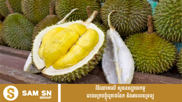 ទុរេន​ស្រស់​កម្ពុជានាំចេញ​​ទៅកាន់​ទីផ្សារ​​ចិន​ ​កើនឡើង​ជិត​ ​៤០ ​ដង​