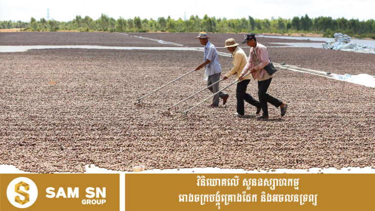 អូស្ត្រាលី​ជួយ​ពង្រឹង​ការ​កែច្នៃ​ស្វាយចន្ទី​នៅ​កម្ពុជា​ ​ខណៈ​កម្ពុជា​បាត់បង់​ចំណូល​ជាង​ ​១២៥​ ​លាន​ដុល្លារ​ក្នុង​មួយ​ឆ្នាំ​