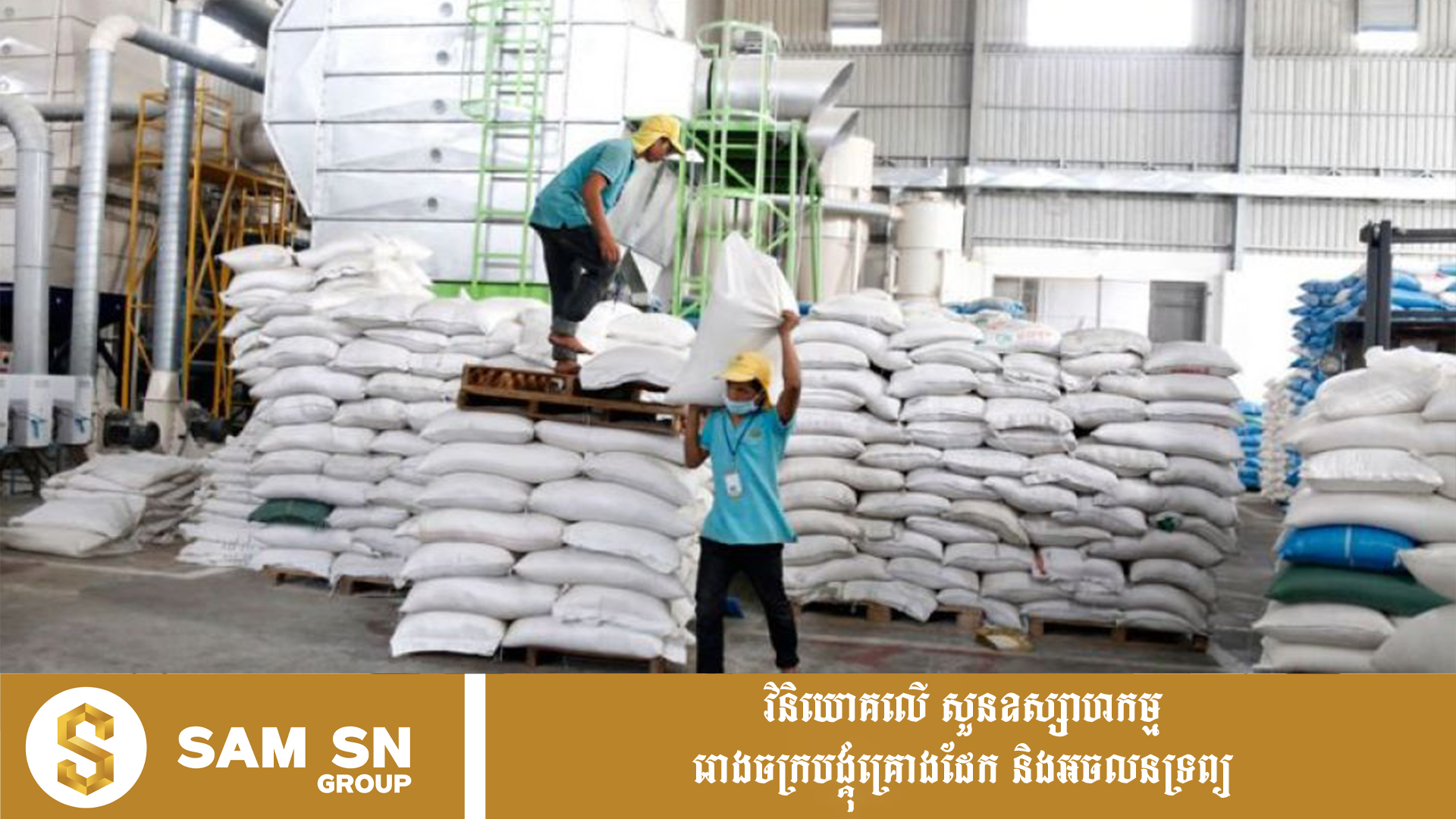 RiceExport12 កម្ពុជានាំចេញអង្ករជាង ៧០០ ពាន់តោន រកចំណូលបានជាង ៤១៥ លានដុល្លារ ក្នុង ៧ ខែ